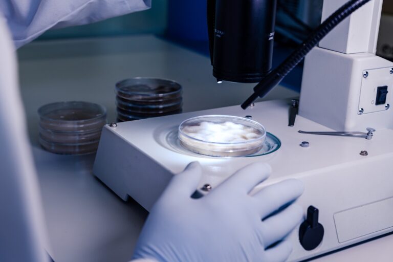 secao 3 laboratorio